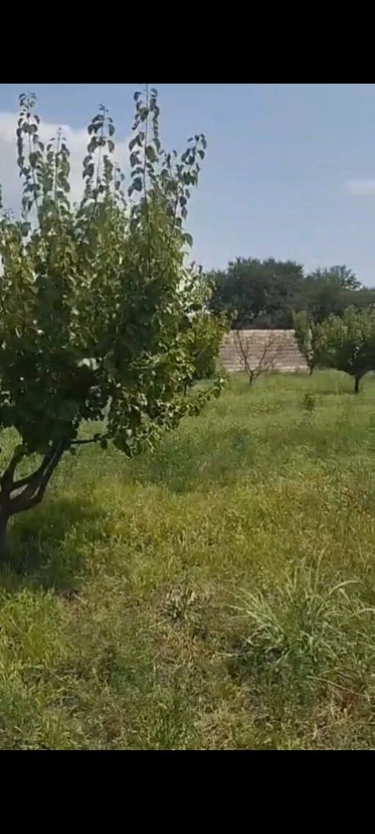 12 sot torpaq sahəsi, Pirili kəndi — Torpaq, Ağstafa (5)