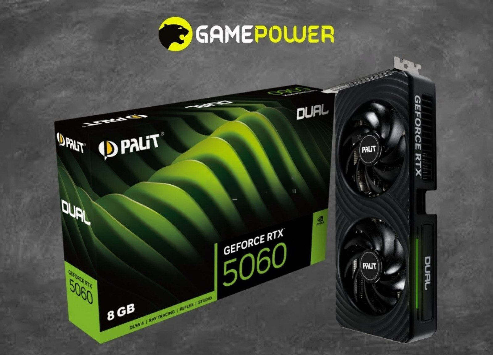Palit RTX 5060 8GB Dual 128-bit Videokart — Elektronika
