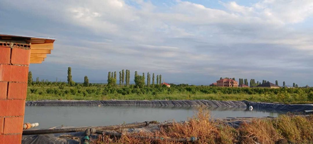 436 sot torpaq sahəsi, Quba r. — Torpaq, Quba (6)