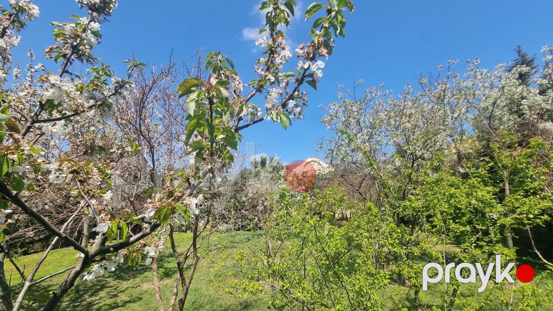 Satılır 10 otaqlı həyət evi/bağ evi 408 m² — Ev, villa, Bakı (6)