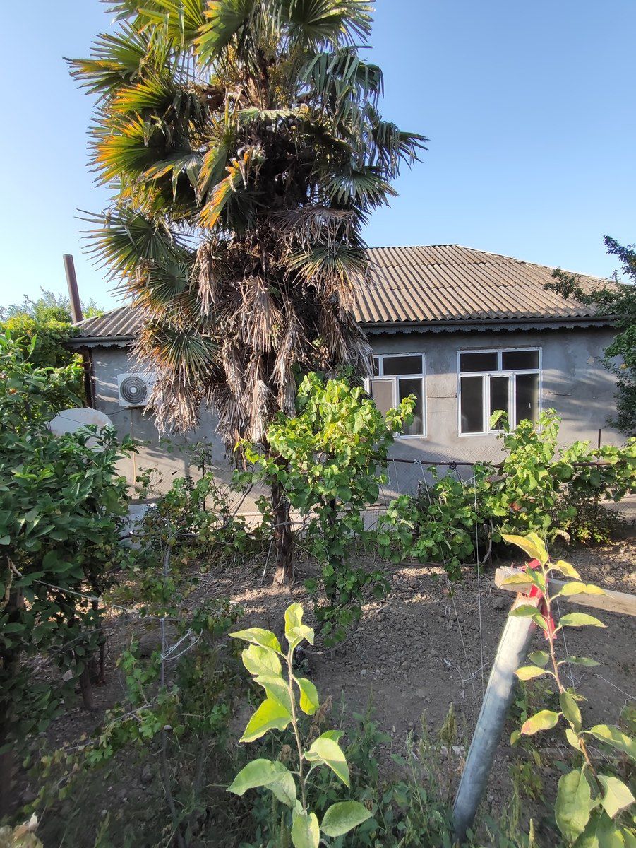 Bağ evi, Şirvan ş. — Ev, villa, Şirvan (5)