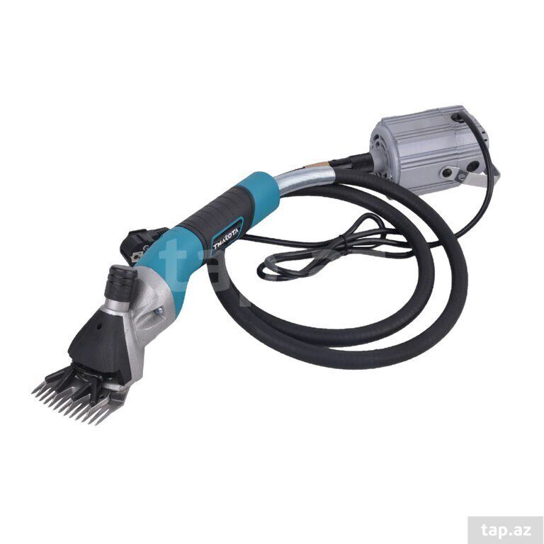 Elektrik qoyun qırxan — Heyvanlar, Bakı