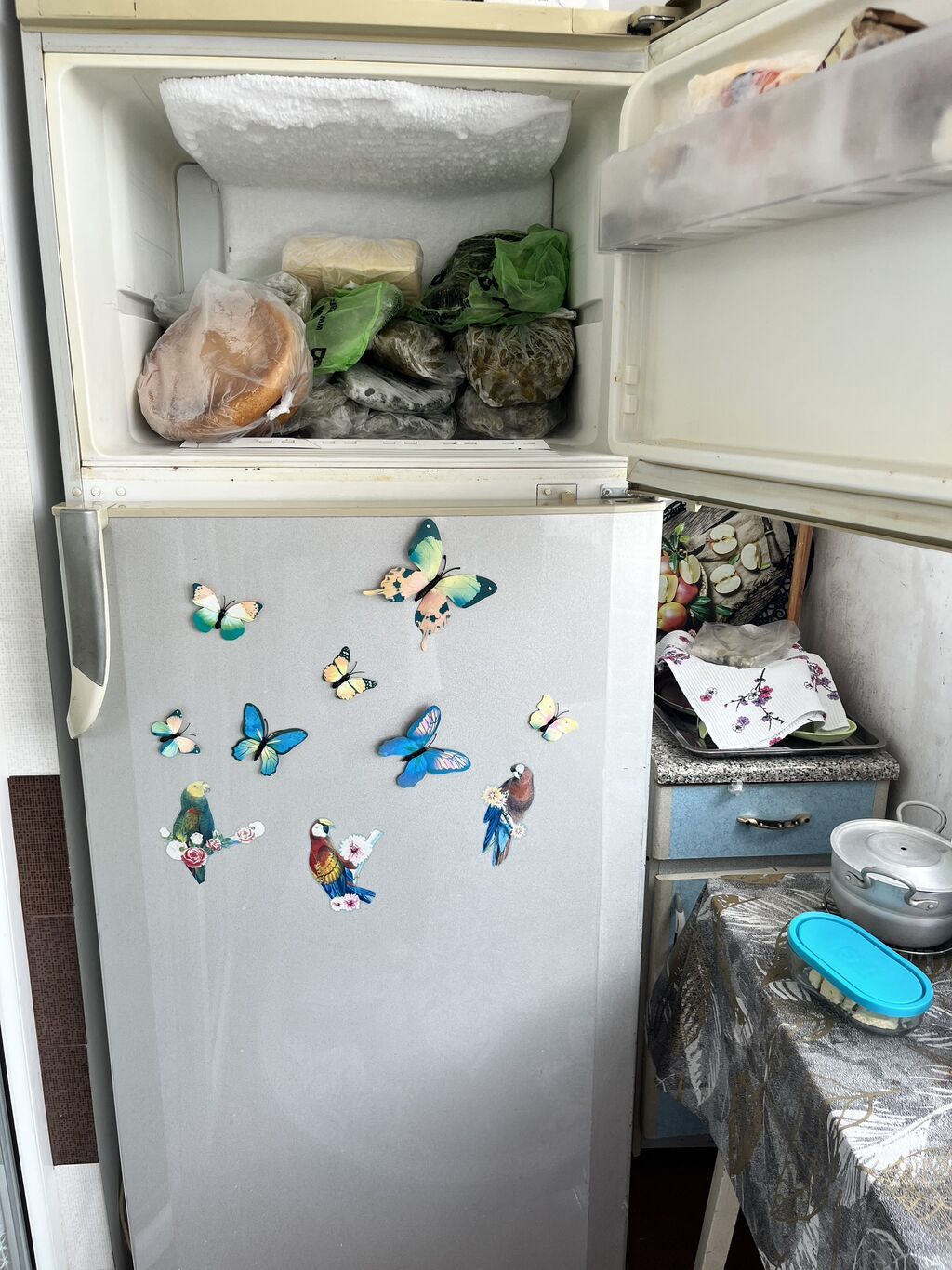 İşlənmiş 2 qapılı Beko Soyuducu Satılır, rəng - Gümüşü, Təkərli — Soyuducular, Qobu (3)