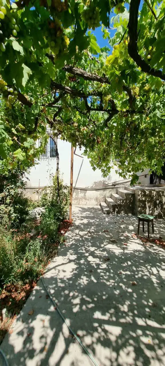 3 otaqlı həyət evi 100 m² satılır — Daşınmaz əmlak, Bakı (10)