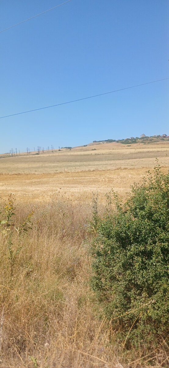 220 sot torpaq sahəsi, Şamaxı r. — Torpaq, Şamaxı (3)