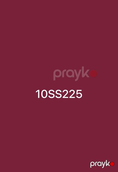 Avtomobil qeydiyyat nişanı - 10-SS-225 — Gəncə