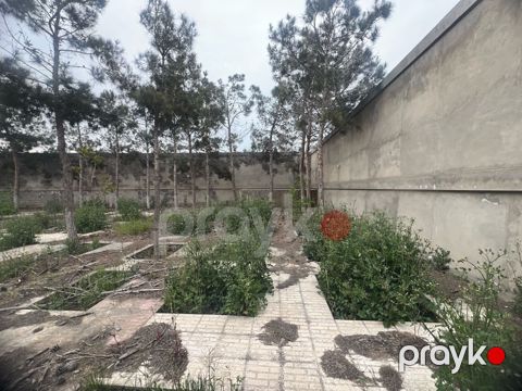Satılır torpaq 10 sot