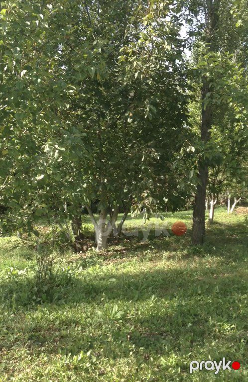 Satılır torpaq 46 sot — Torpaq, Şamaxı (4)