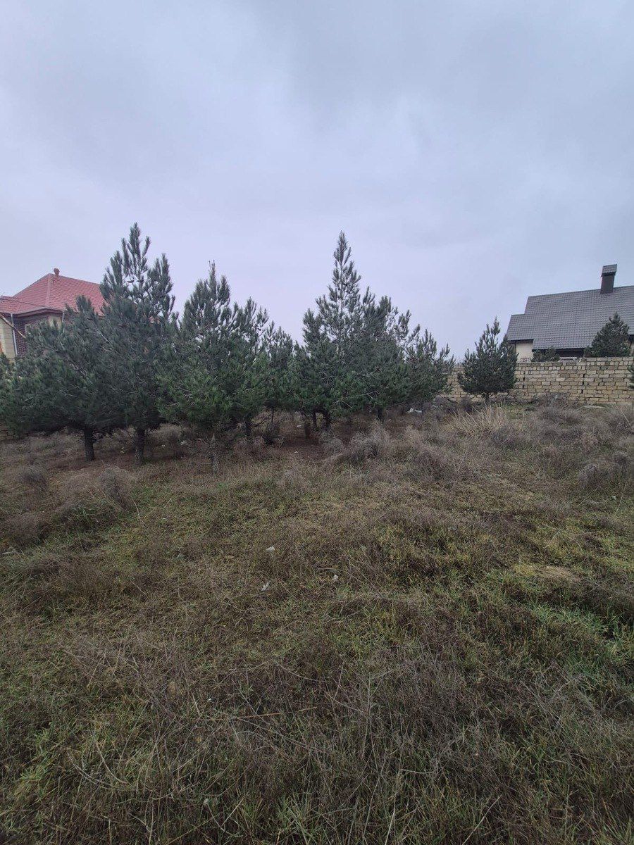5.6 sot torpaq sahəsi, Masazır qəs. — Torpaq, Bakı (4)