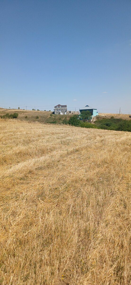 220 sot torpaq sahəsi, Şamaxı r. — Torpaq, Şamaxı (8)