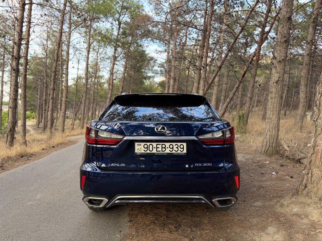 Lexus RX 300, 2.0 L, 2019 il, 125 000 km — Avtomobillər, Bakı (6)