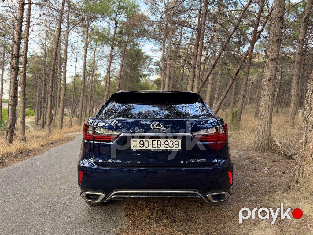 Lexus RX 300, 2.0 L, 2019 il, 125 000 km — Avtomobillər, Bakı (6)
