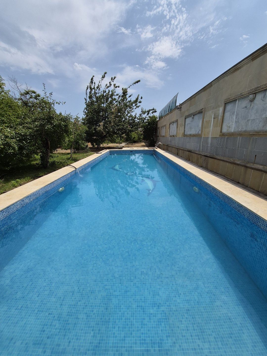 İcarəyə verilir 6 otaqlı həyət evi/bağ evi 250 m² — Ev, villa, Bakı (4)