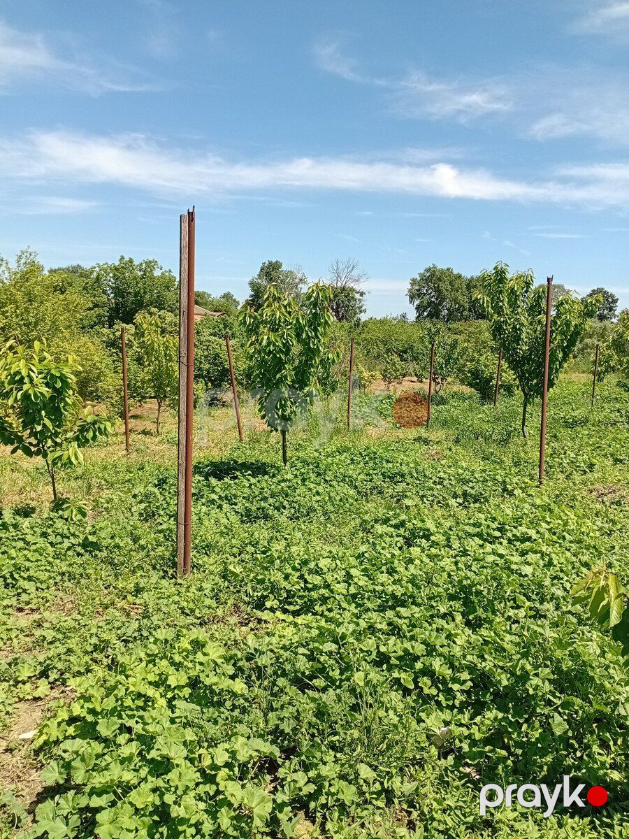 37 sot torpaq sahəsi, Xaçmaz r — Torpaq, Xaçmaz (8)
