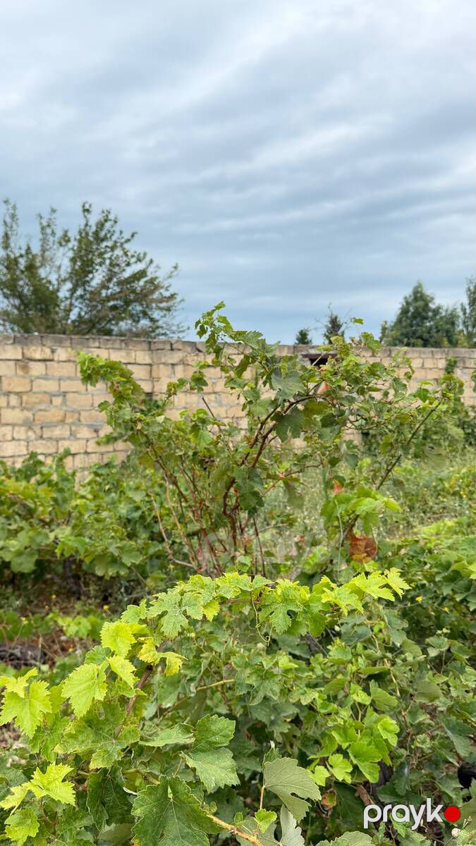 Satılır torpaq 4 sot — Torpaq, Bakı (10)