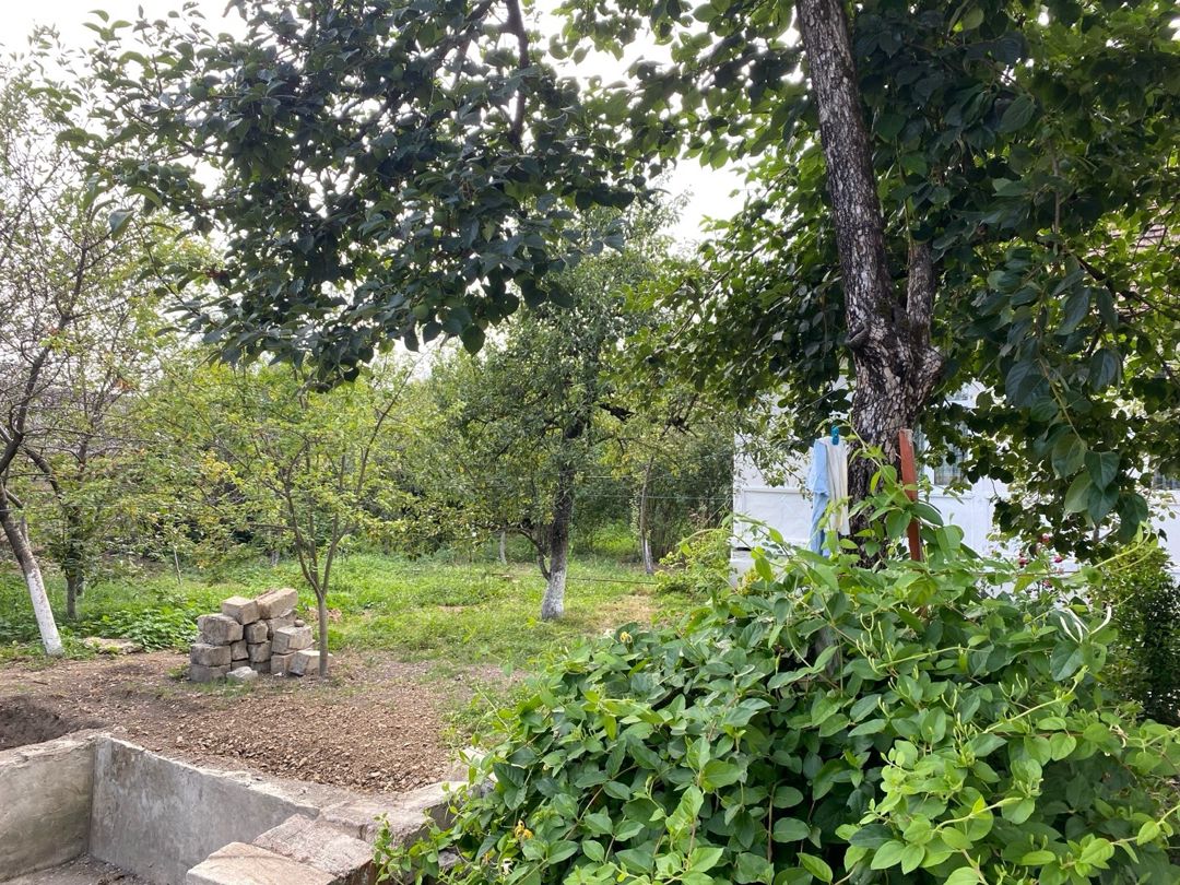 Həyət evi kirayə verilir, Qəbələ ş. — Ev, villa, Qəbələ (4)