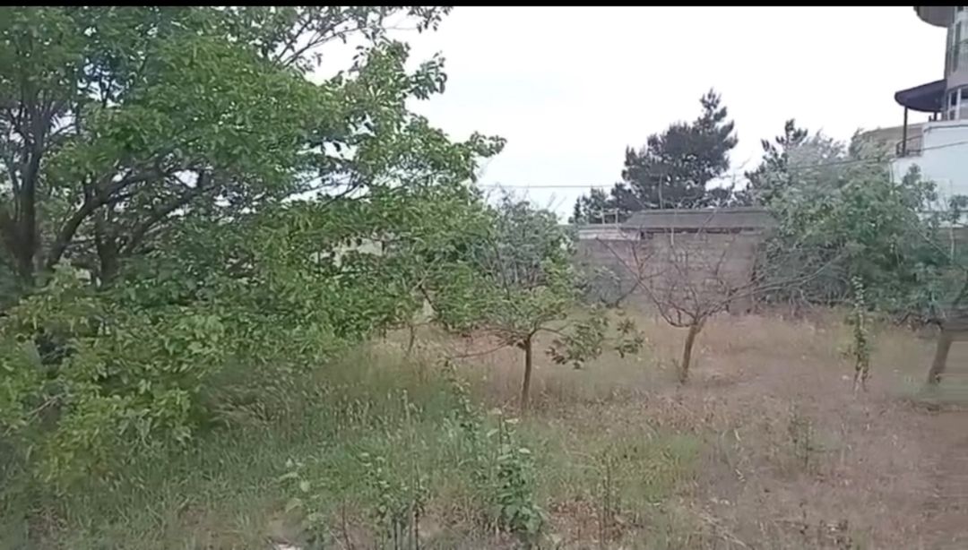 4 sot torpaq sahəsi, Novxanı qəs. — Torpaq, Bakı (4)