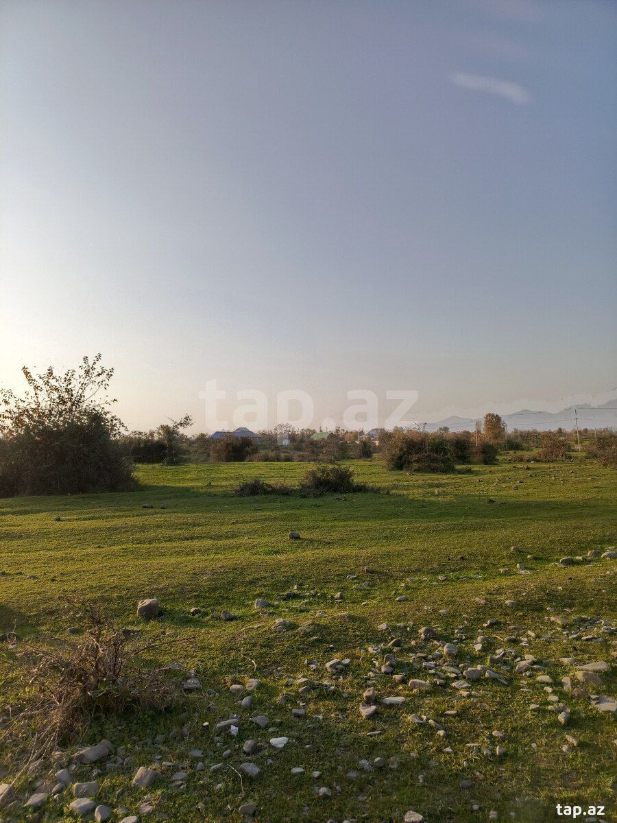 24 sot torpaq sahəsi, Oğuz r. — Torpaq, Oğuz (2)