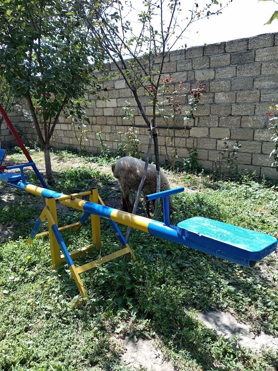 Bağ evi kirayə verilir, İsmayıllı r. — Daşınmaz əmlak, İsmayıllı (10)