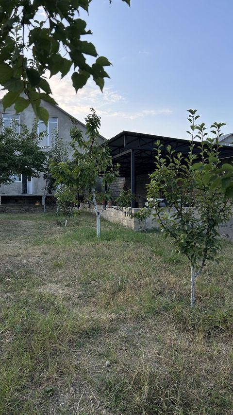 Həyət evi kirayə verilir, Şahnabat küç