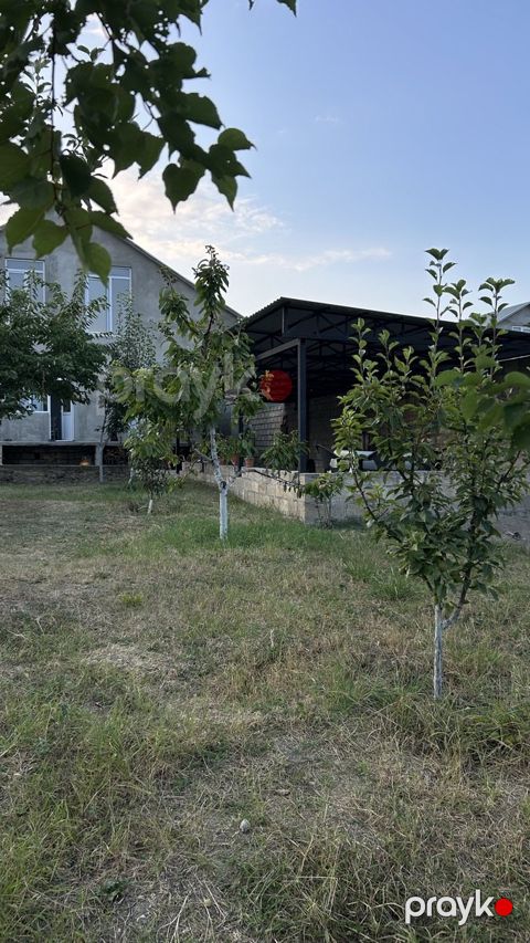Həyət evi kirayə verilir, Şahnabat küç