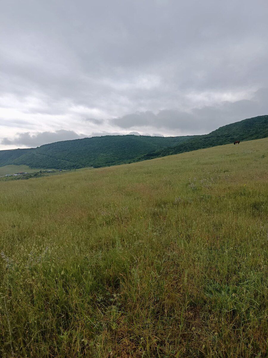 300 sot torpaq sahəsi, Şamaxı r. — Torpaq, Şamaxı (4)