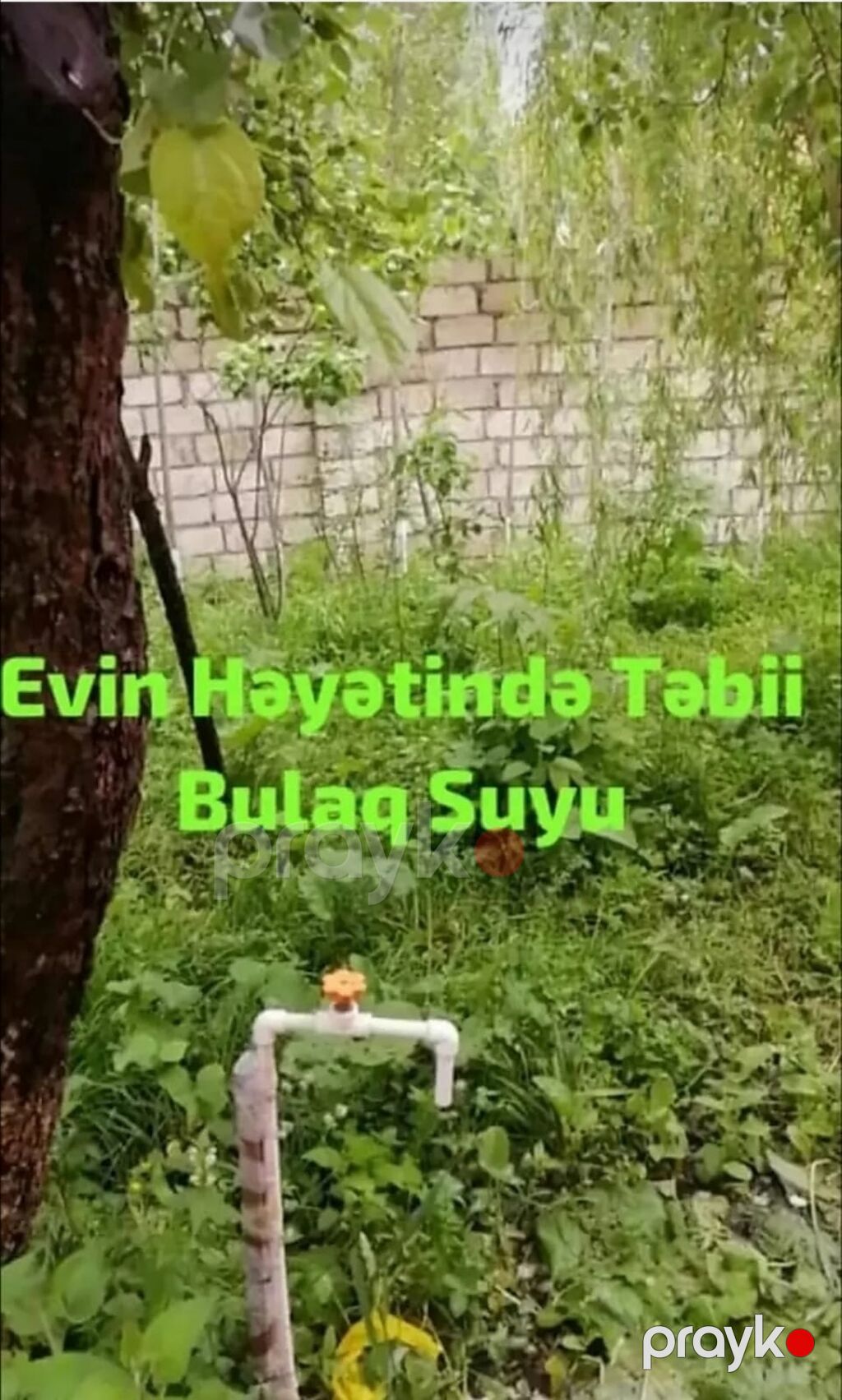 90 kv. m, 3 otaqlı, Kombi, Qaz, İşıq — Ev, villa, Qusar (9)