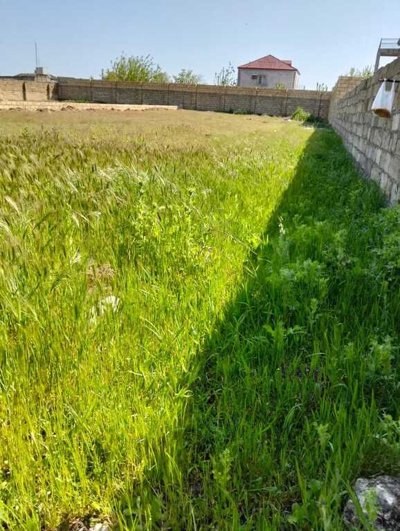 Satılır torpaq 5 sot — Torpaq, Bakı (5)
