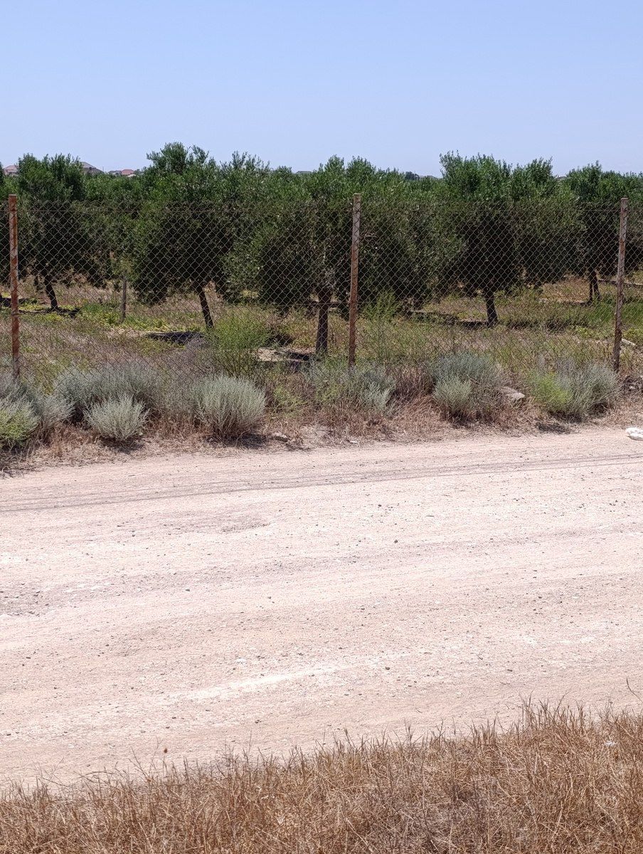 Satılır torpaq 10 sot — Torpaq, Bakı (10)
