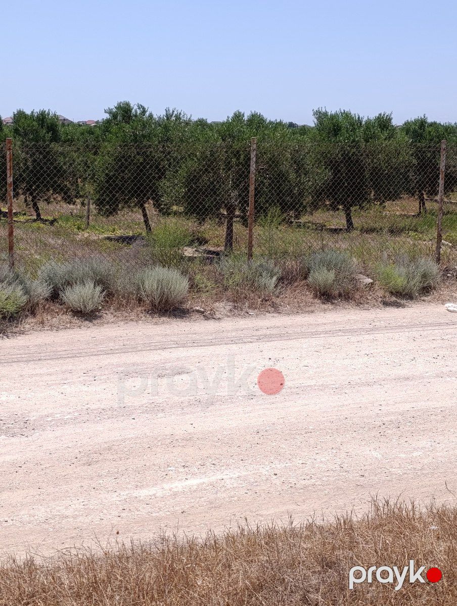 Satılır torpaq 10 sot — Torpaq, Bakı (11)