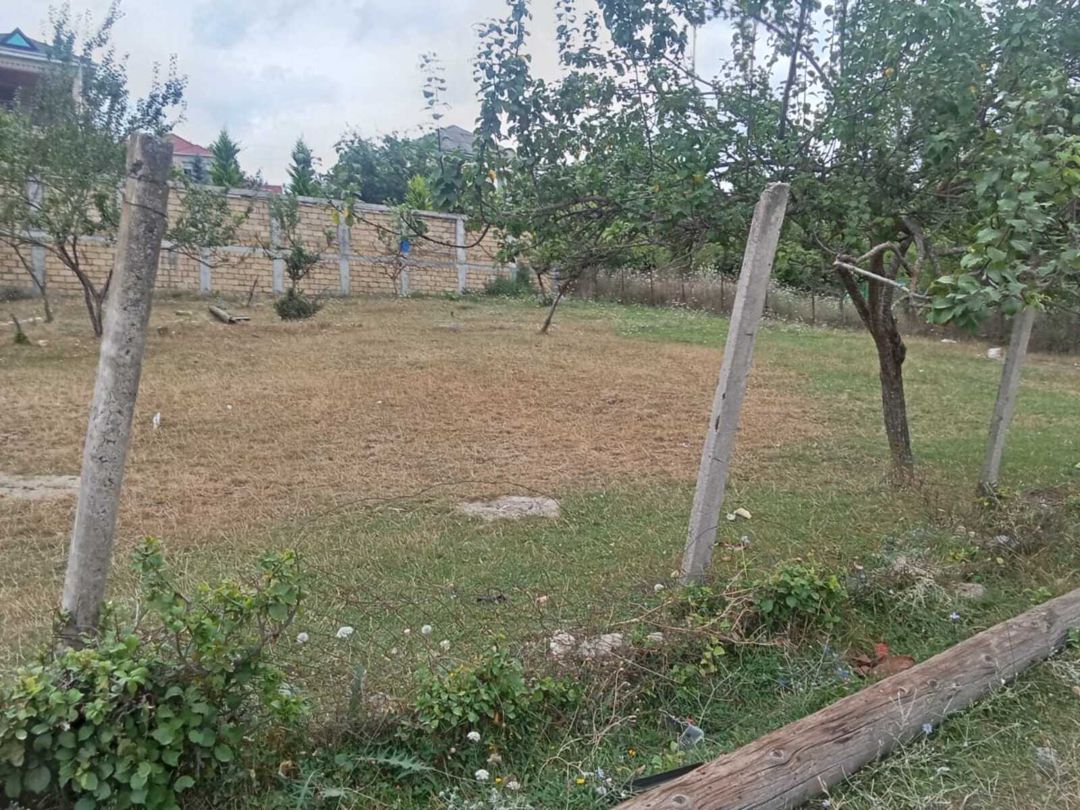 Satılır torpaq 9 sot — Torpaq, Şamaxı (4)