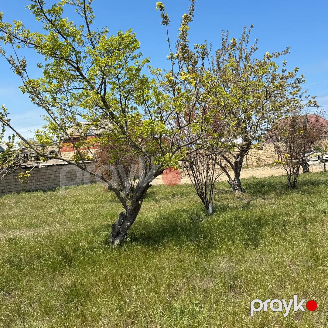 Satılır torpaq 3 sot — Torpaq, Bakı (3)