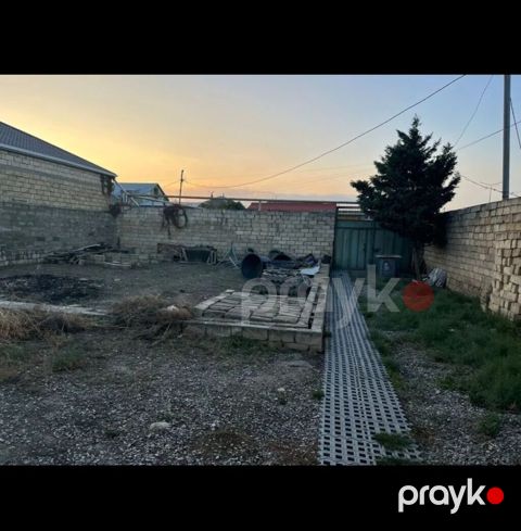 Tikinti