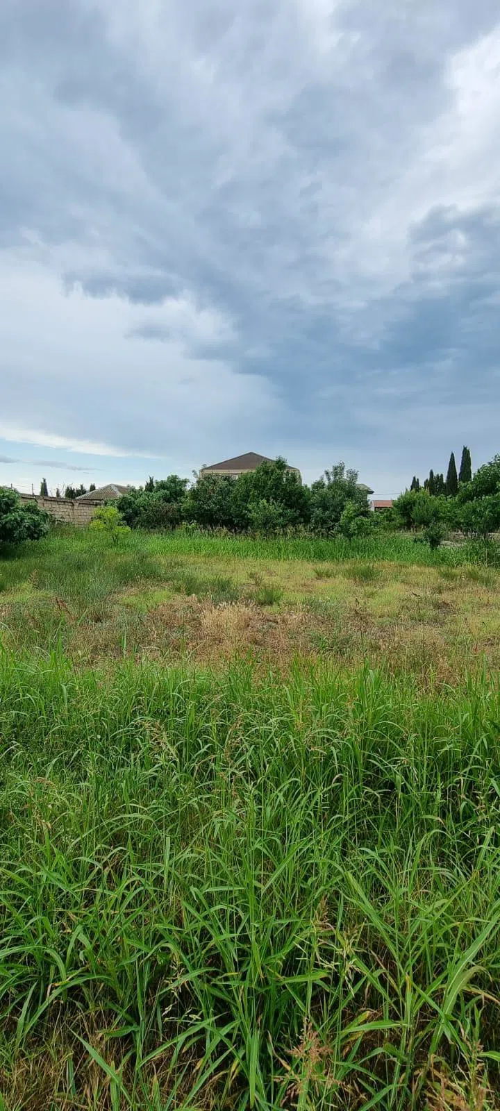8.5 sot torpaq sahəsi satılır — Torpaq, Bakı (4)