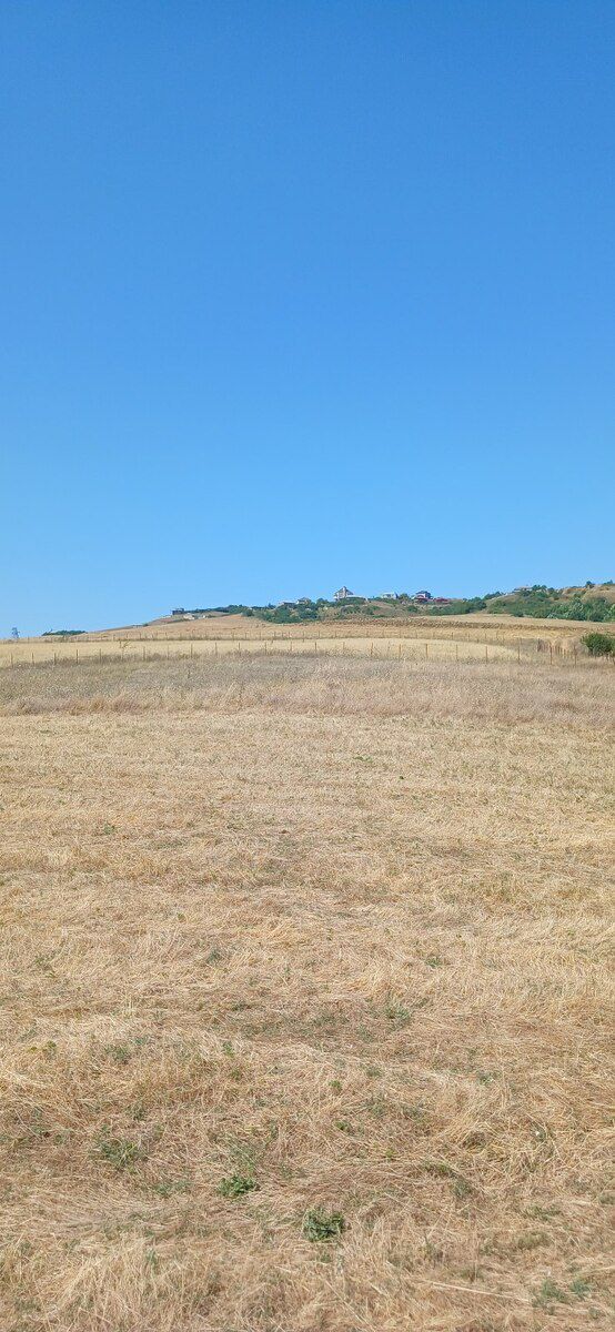 220 sot torpaq sahəsi, Şamaxı r. — Torpaq, Şamaxı (5)