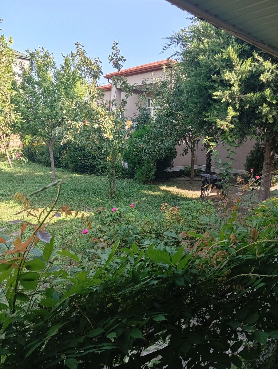 Həyət evi, Zaqatala ş. — Daşınmaz əmlak, Zaqatala (11)