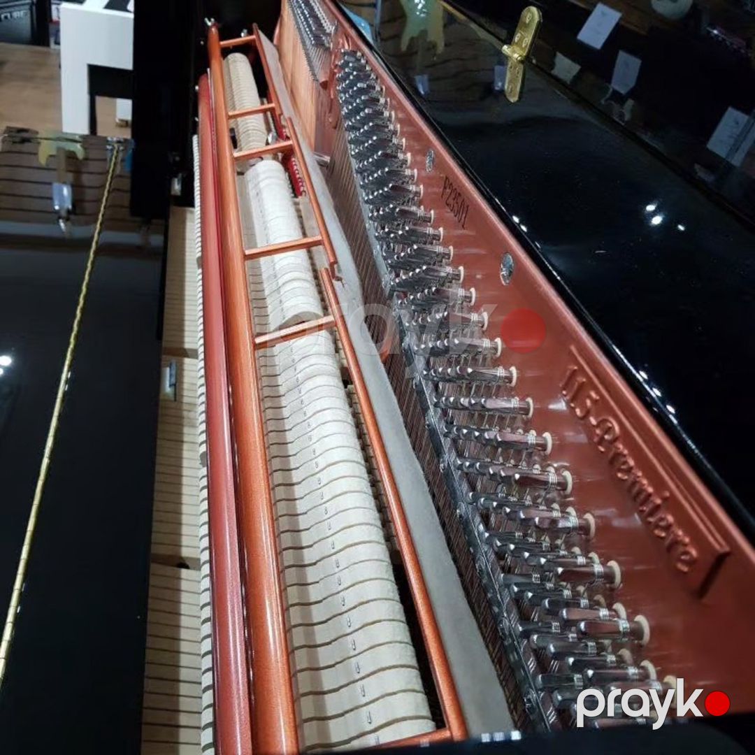 Akustik piano FEURICH Premiere 115 — Mallar, Bakı (7)