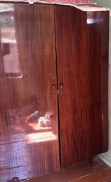 İki qapılı taxta paltar şkafı - Material: cilalanmış taxta/şpon, tünd — Mebel