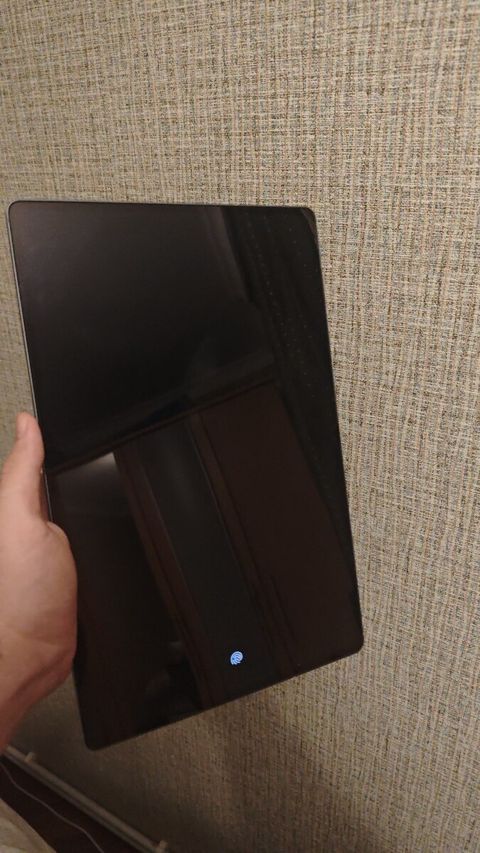 Samsung Galaxy Tab Ultra 1TB/16GB RAM — Bakı