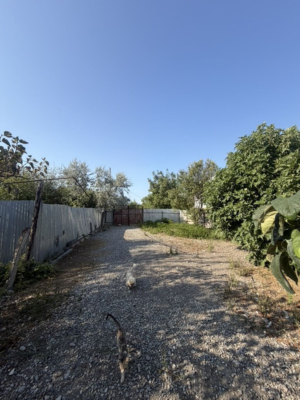 25 sot, Tikinti, Mülkiyyətçi, Kupça (Çıxarış) — Torpaq, Xaçmaz (6)