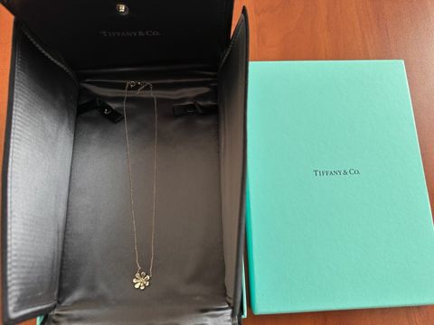 Boyunbağı Tiffany & Co