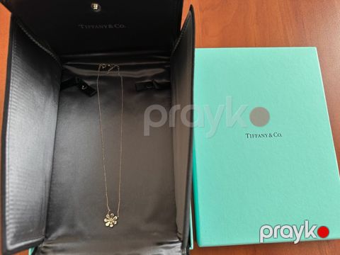 Boyunbağı Tiffany & Co