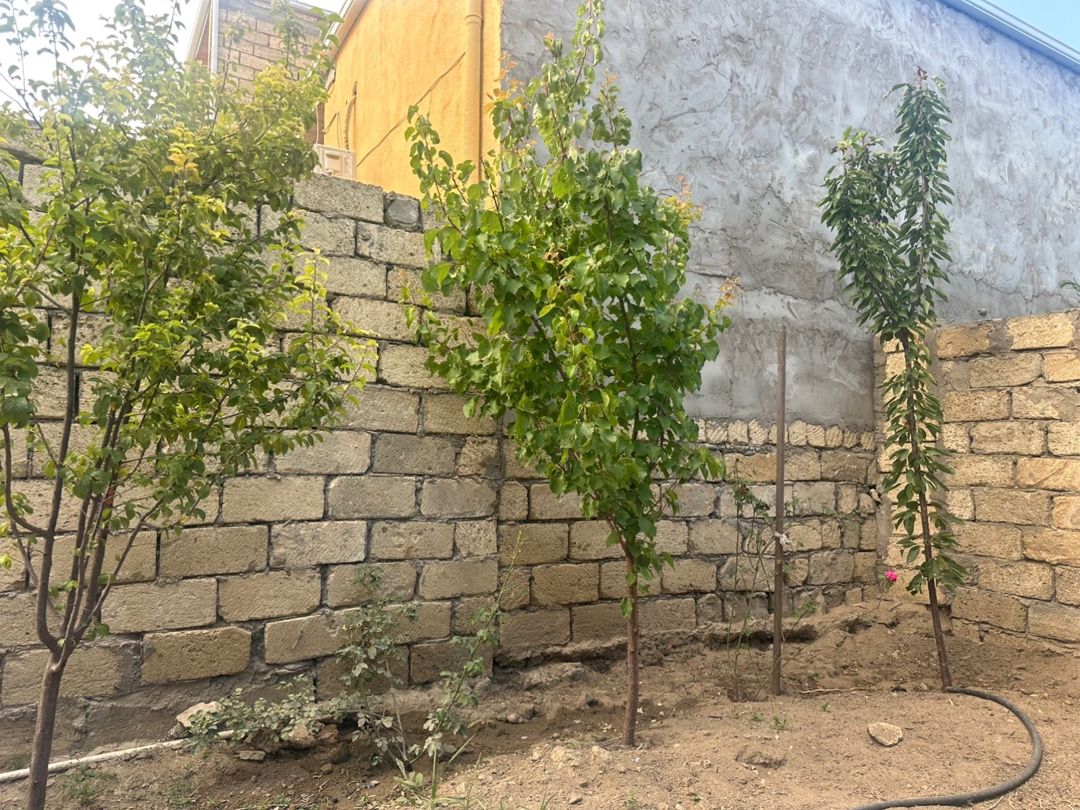 Həyət evi, Xırdalan ş. — Daşınmaz əmlak, Xırdalan