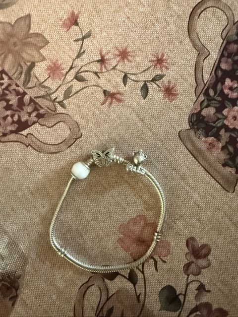Gümüş tonlu charm bilərzik