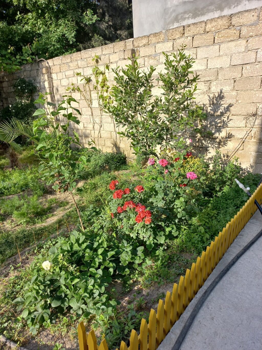 3 otaqlı, 90 kv. m, Kredit yoxdur, Yeni təmirli