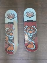 Skateboard lövhələri – 2 ədəd, pələng qrafikası ilə — Skateboards