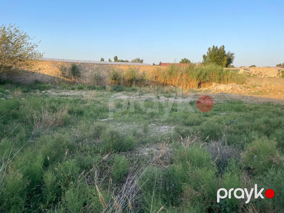10 sot torpaq sahəsi, Ləhiş bağları — Torpaq, Bakı (10)