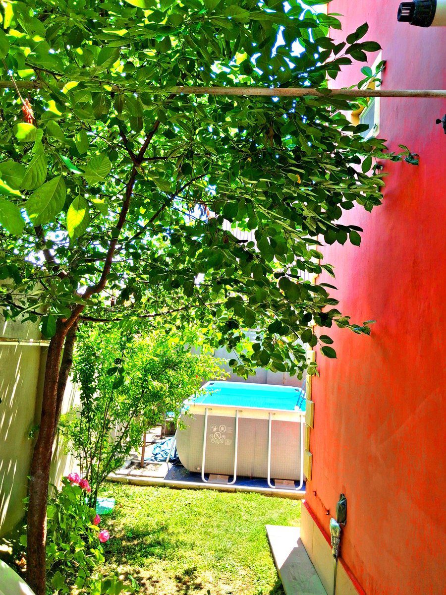 İcarəyə verilir 5 otaqlı həyət evi/bağ evi 200 m² — Ev, villa, Qəbələ (7)