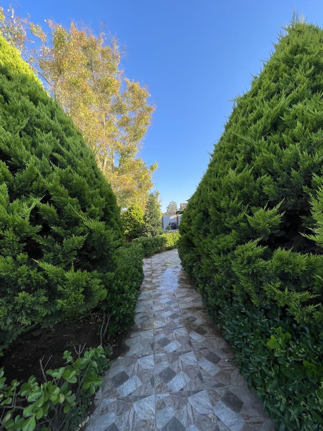İcarəyə verilir 8 otaqlı həyət evi/bağ evi 800 m² — Ev, villa, Bakı (12)