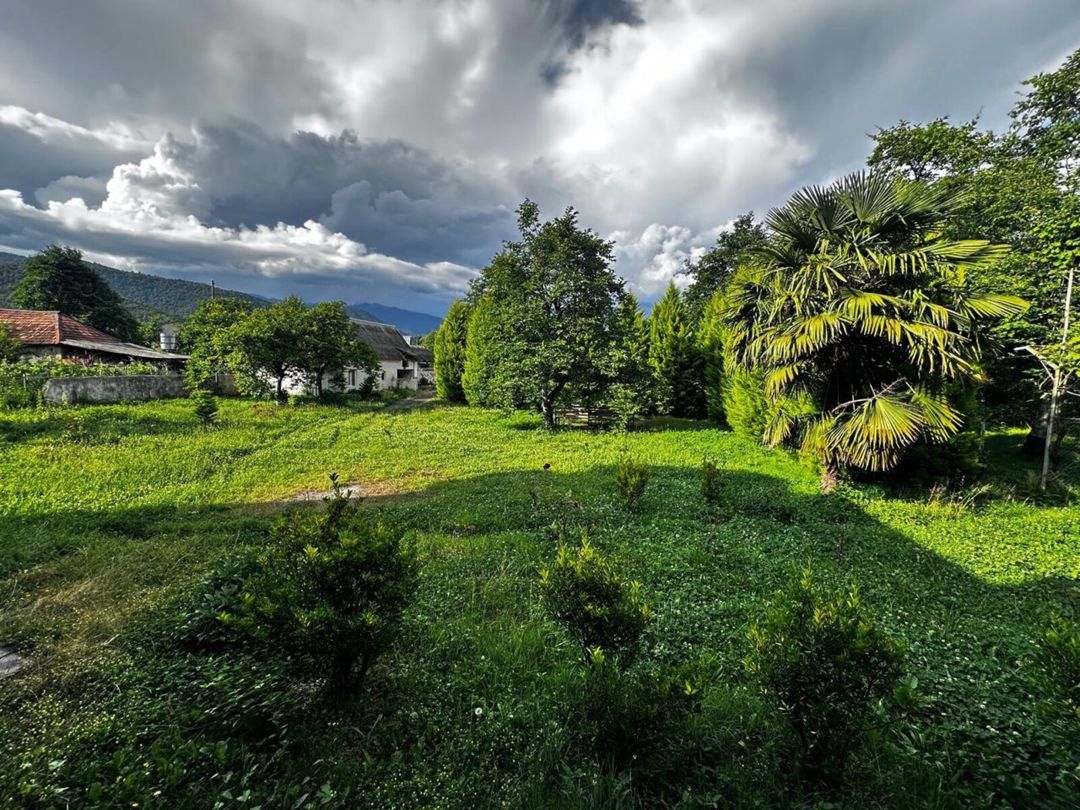 Həyət evi kirayə verilir, Zaqatala r. — Daşınmaz əmlak, Zaqatala (2)